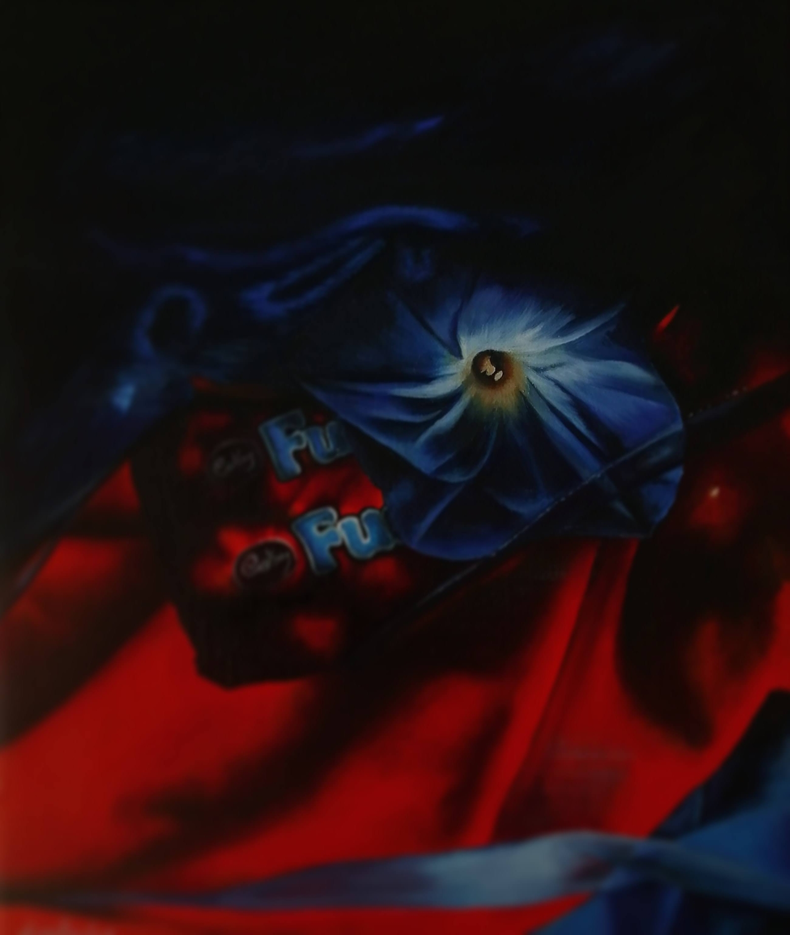 Morning Glory with Fudge